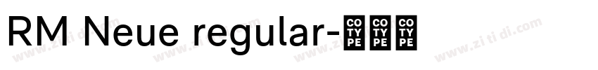 RM Neue regular字体转换